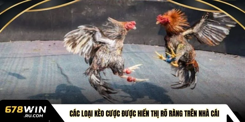 Các loại kèo cược được hiển thị rõ ràng trên nhà cái