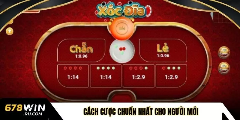 Cách cược chuẩn nhất cho người mới