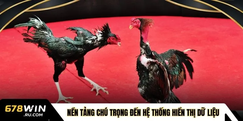 Nền tảng chú trọng đến hệ thống hiển thị dữ liệu