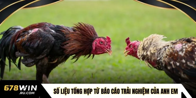  Số liệu tổng hợp từ báo cáo trải nghiệm của anh em